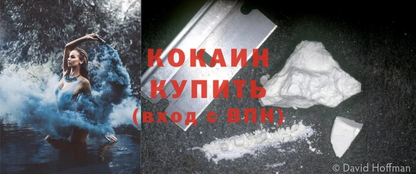 шишки Алапаевск