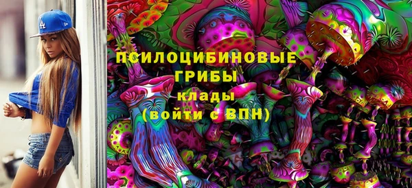 шишки Алапаевск