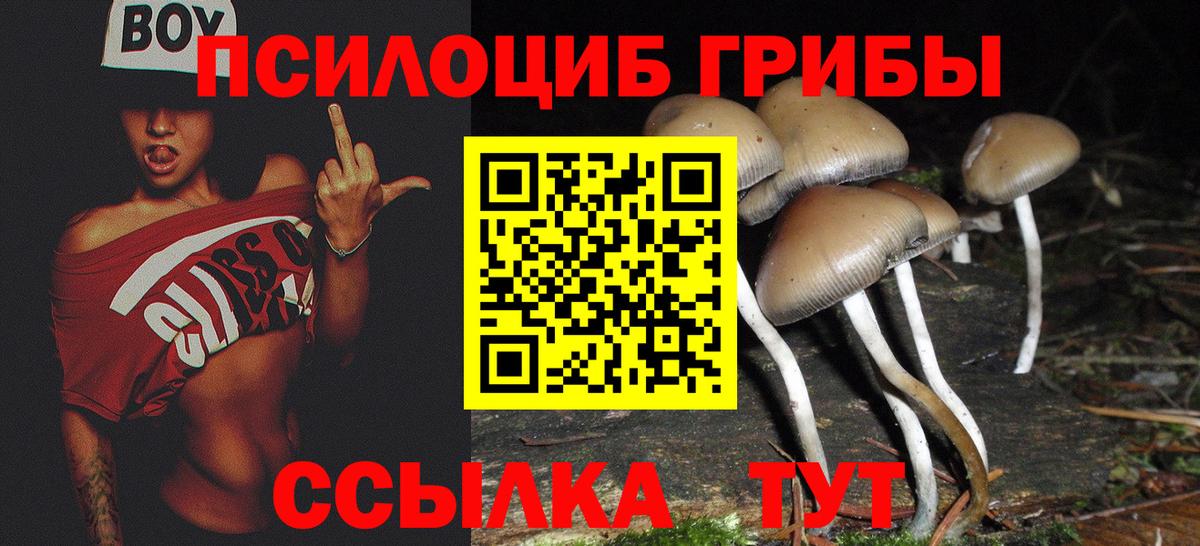 Губкинский  Галлюциногенные грибы мицелий  Галлюциногенные грибы Psilocybe  Вход с VPN 