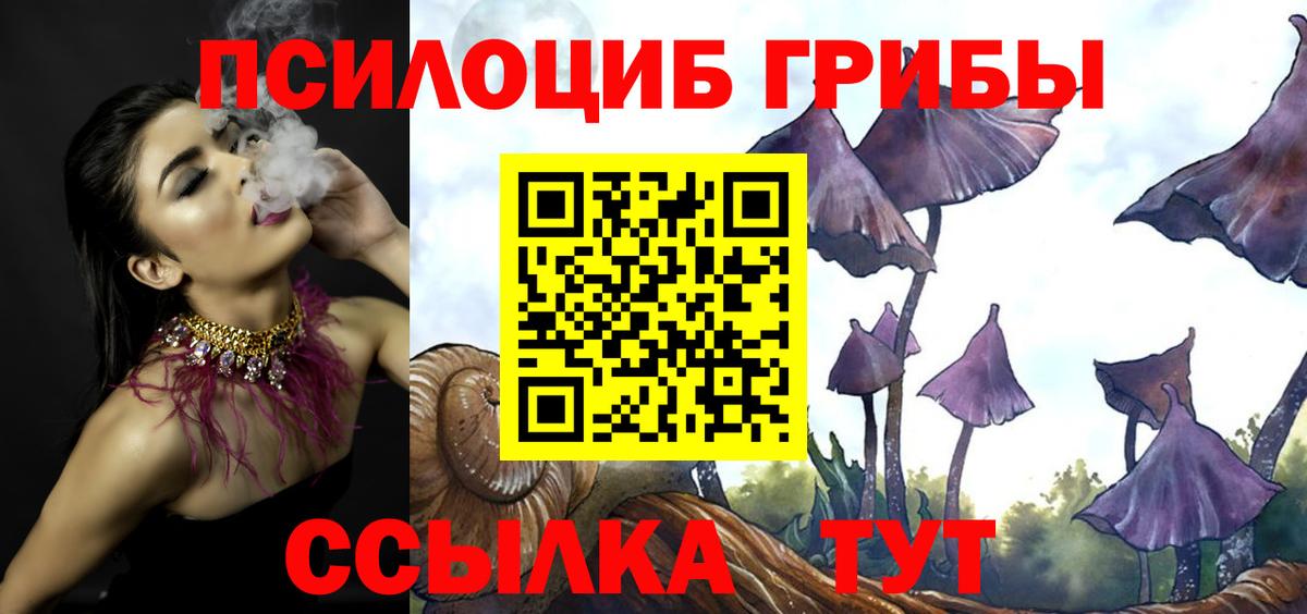 Галлюциногенные грибы мицелий Губкинский